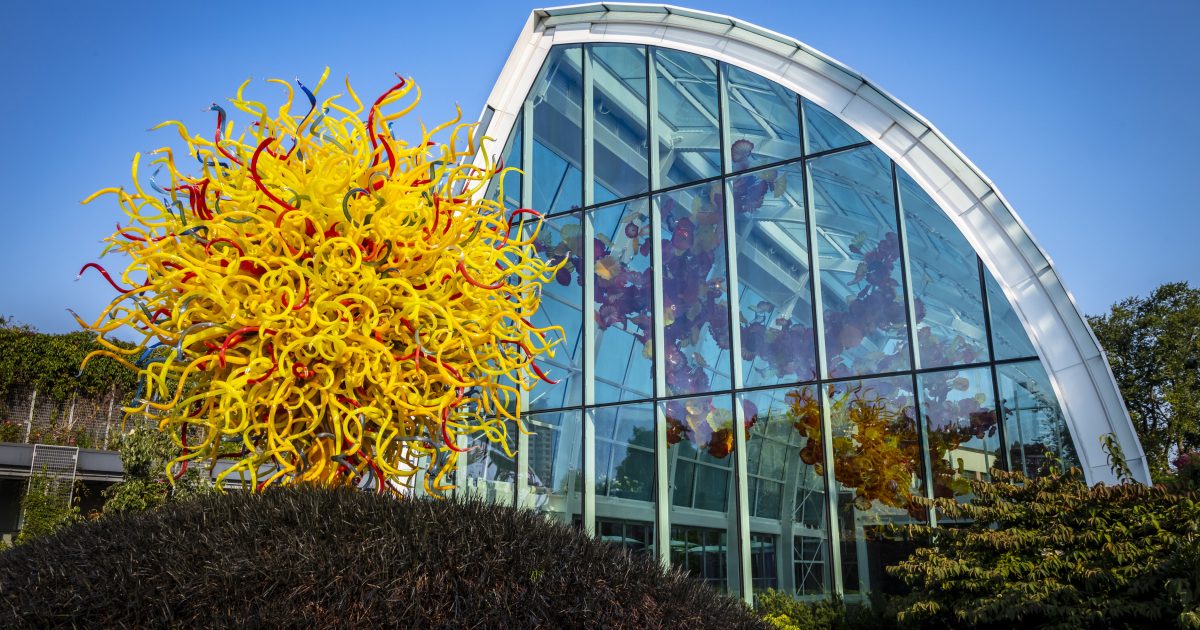 Chihuly Garden and Glass | Chihuly Macchia