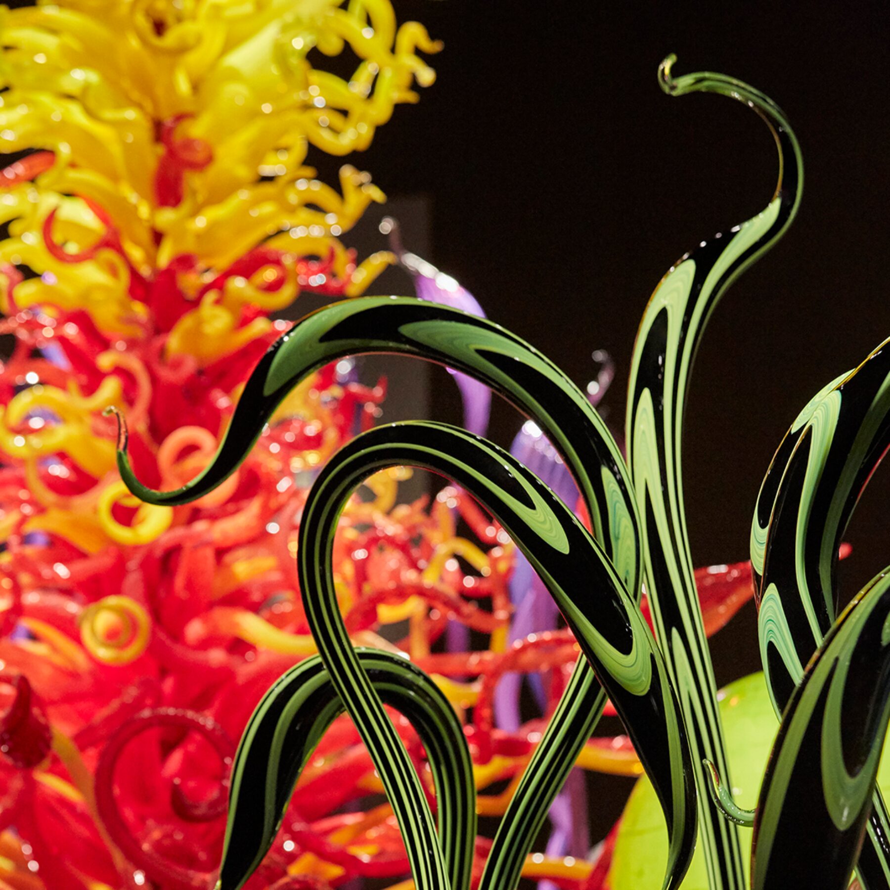 Chihuly Garden and Glass
