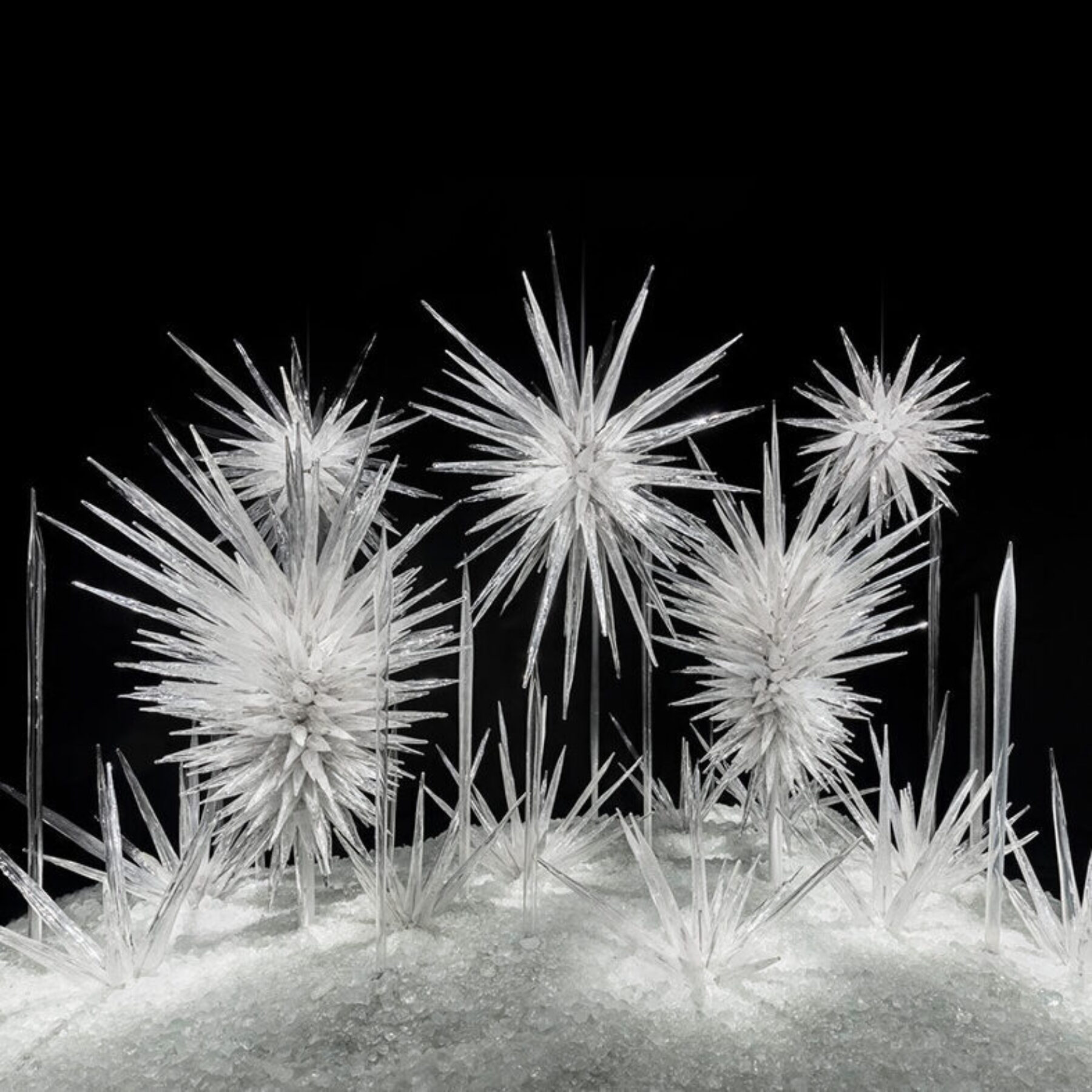 Chihuly Garden and Glass